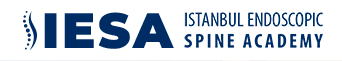 İstanbul Endoscopic Spine Academy